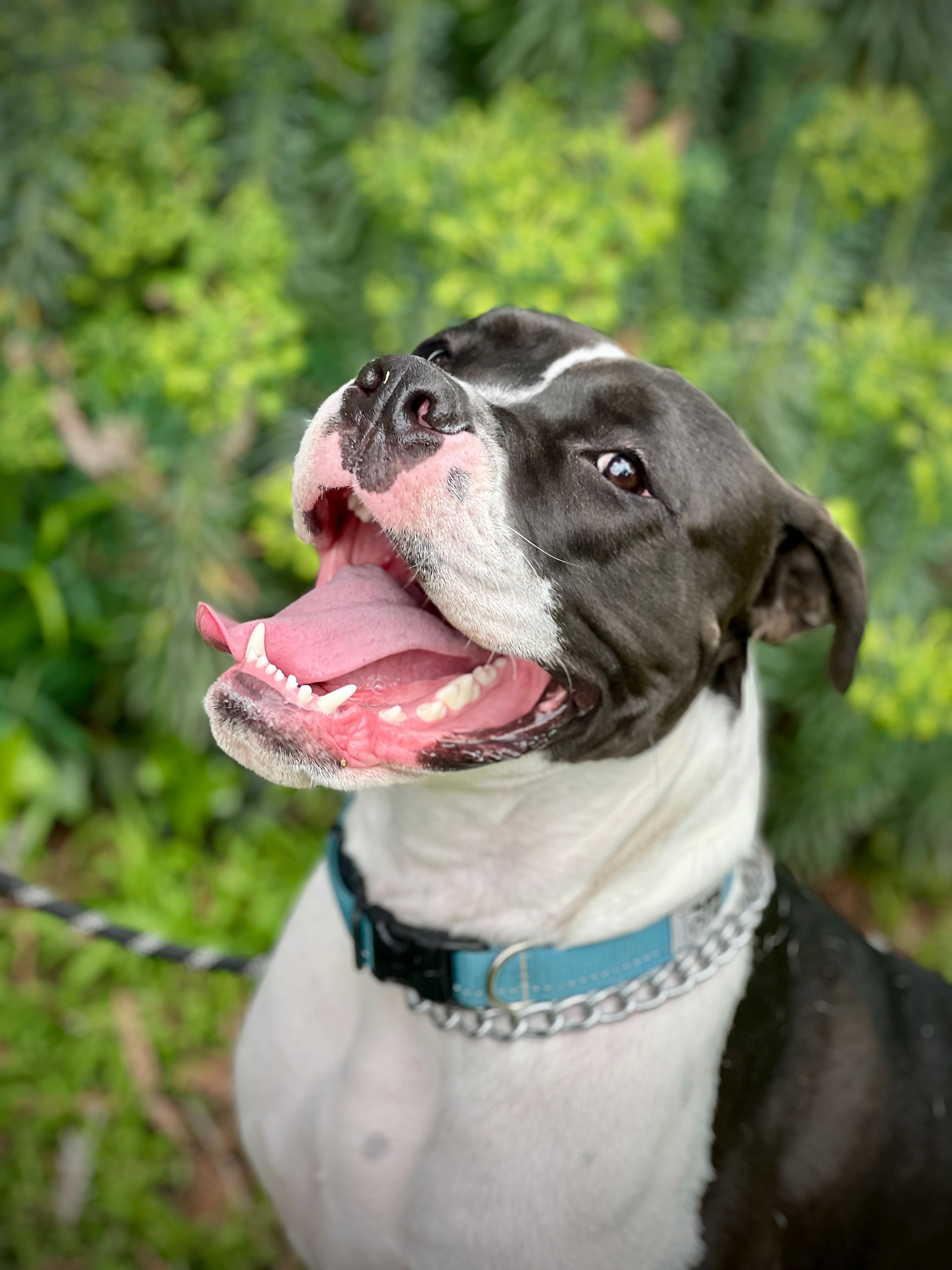 imagen del header de la pagina pricing, es un paisaje