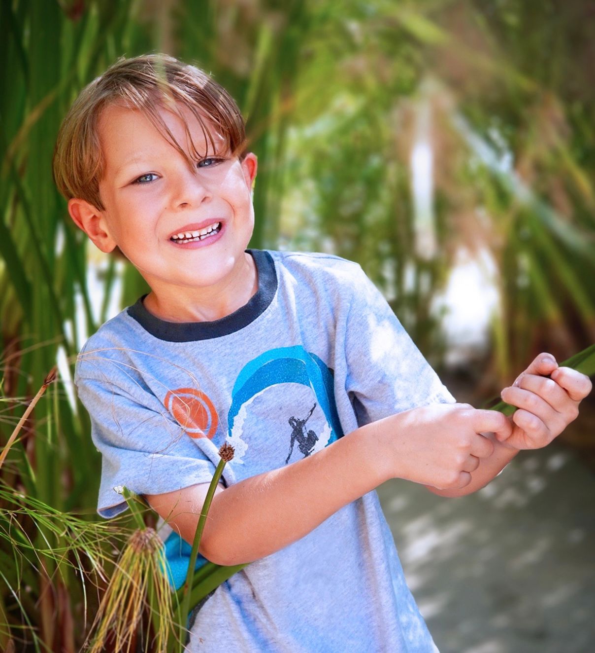 imagen de galeria de 5 elementos