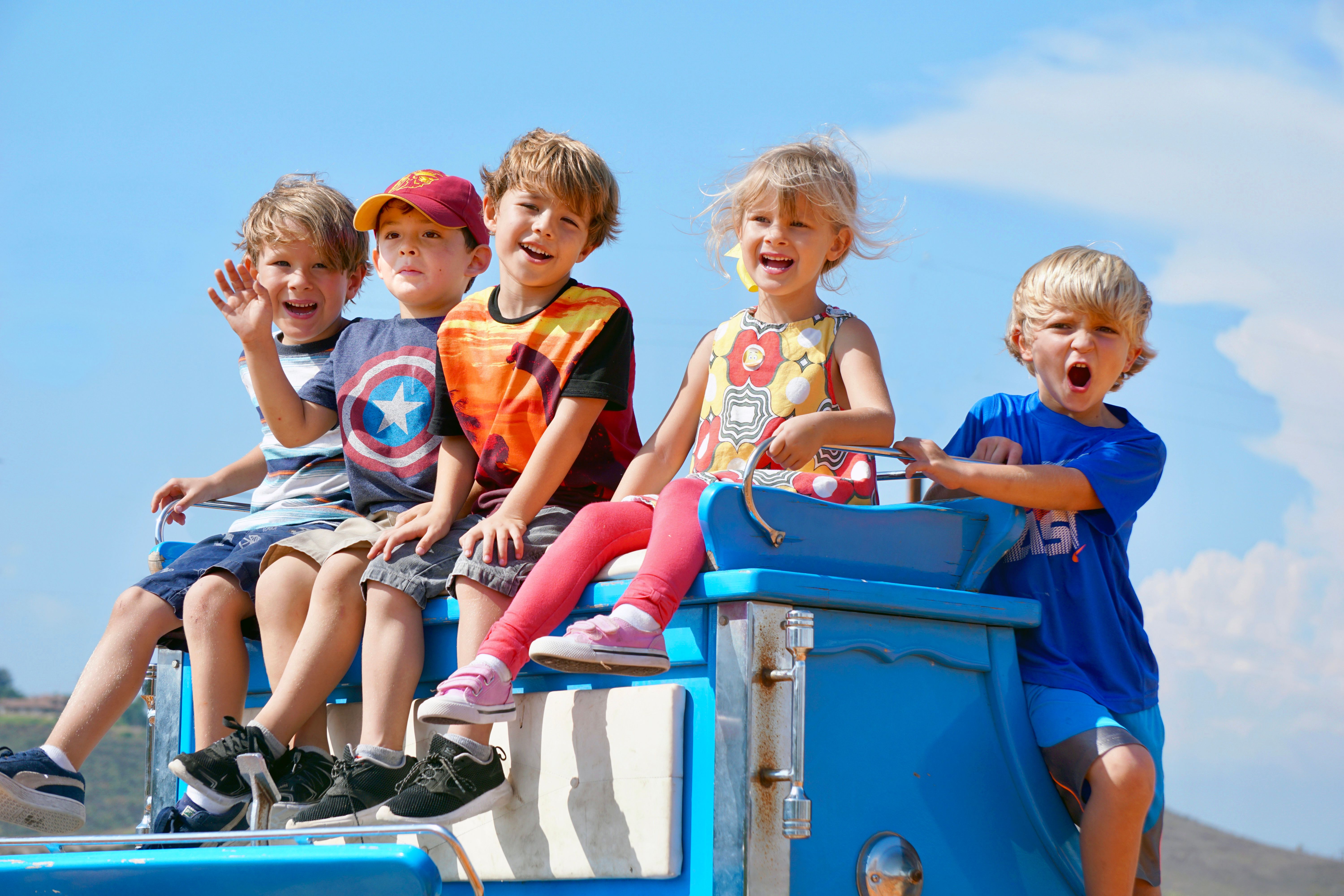 imagen de galeria de 5 elementos