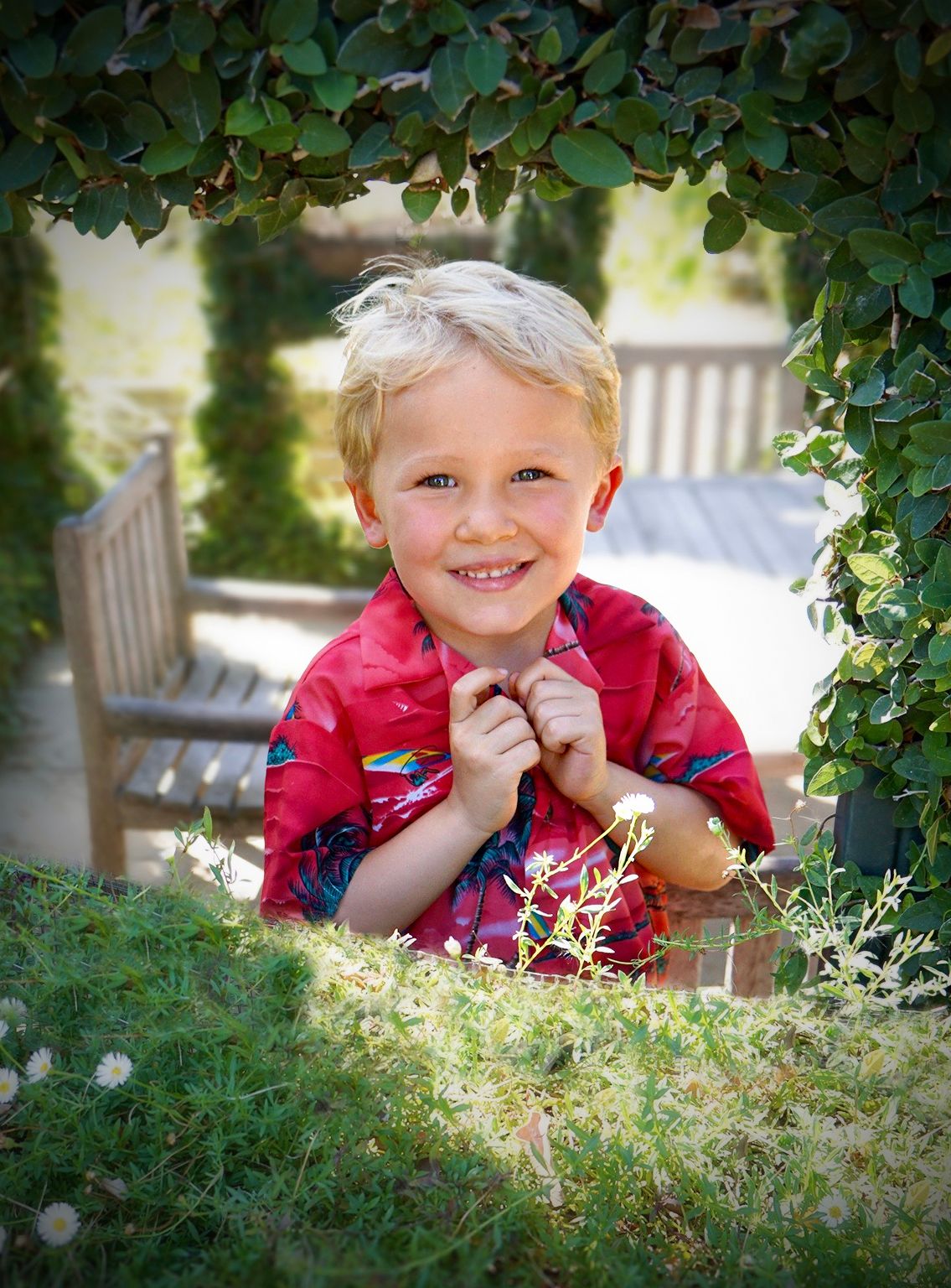 imagen de galeria de 5 elementos