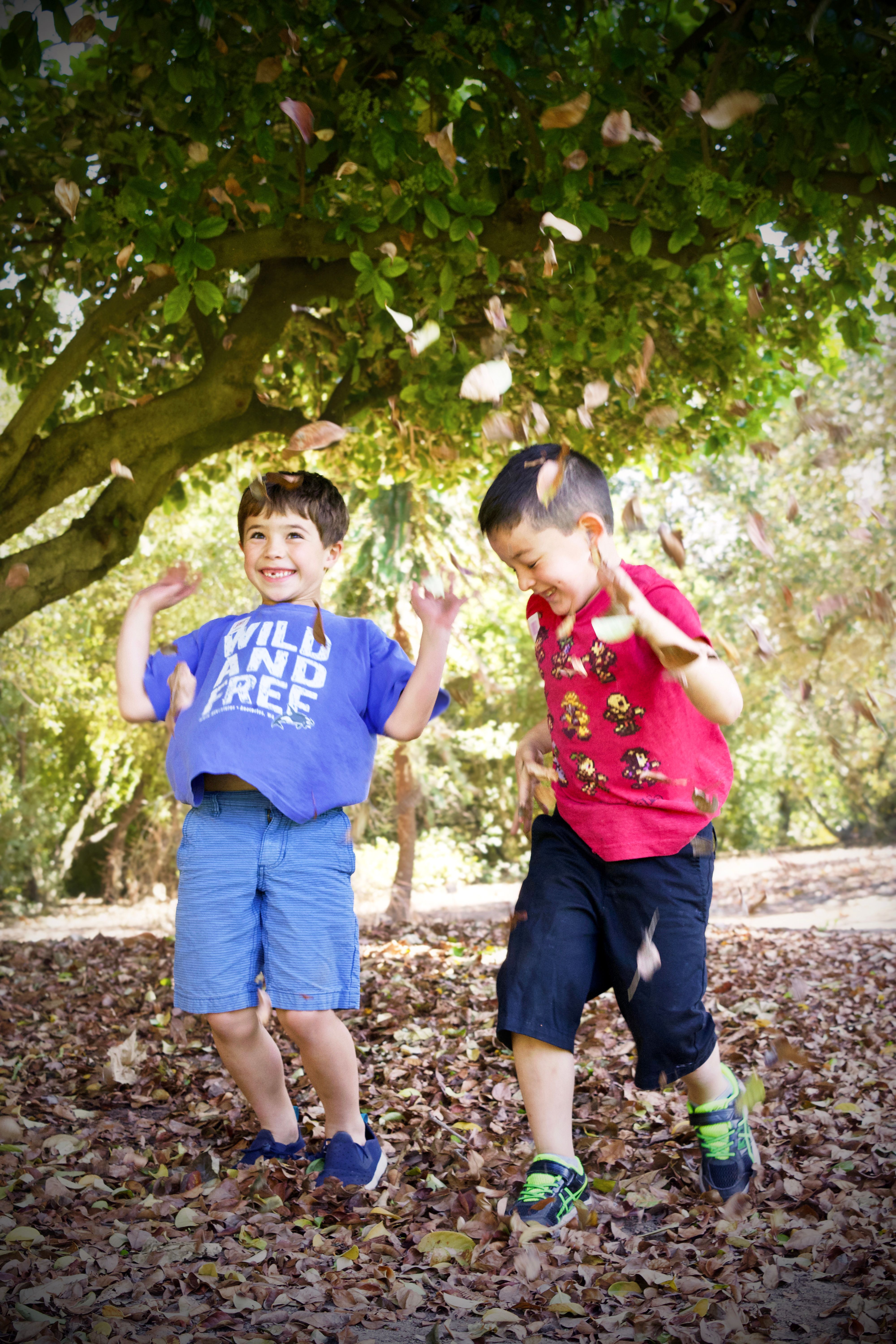 imagen de galeria de 5 elementos