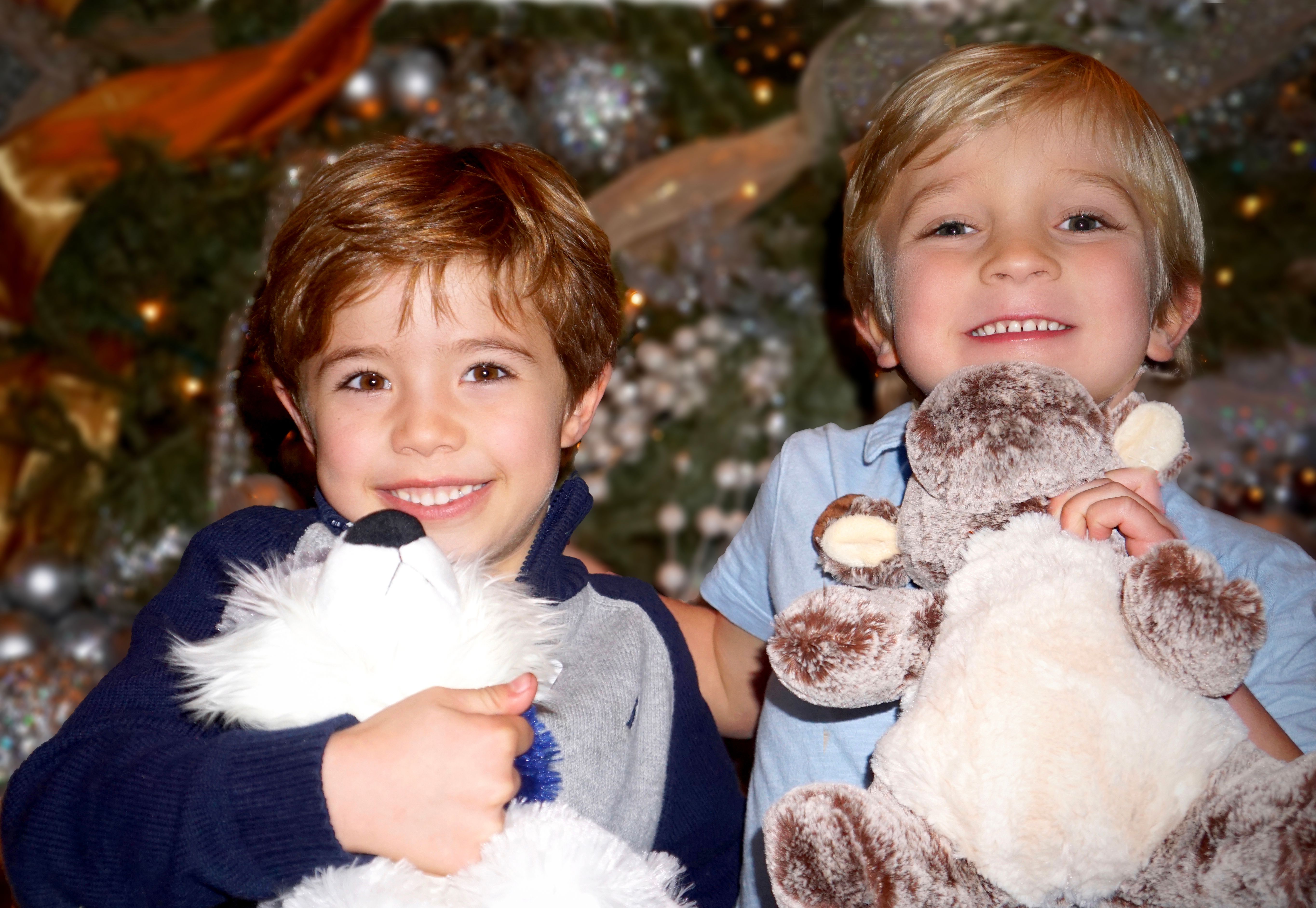 imagen de galeria de 5 elementos