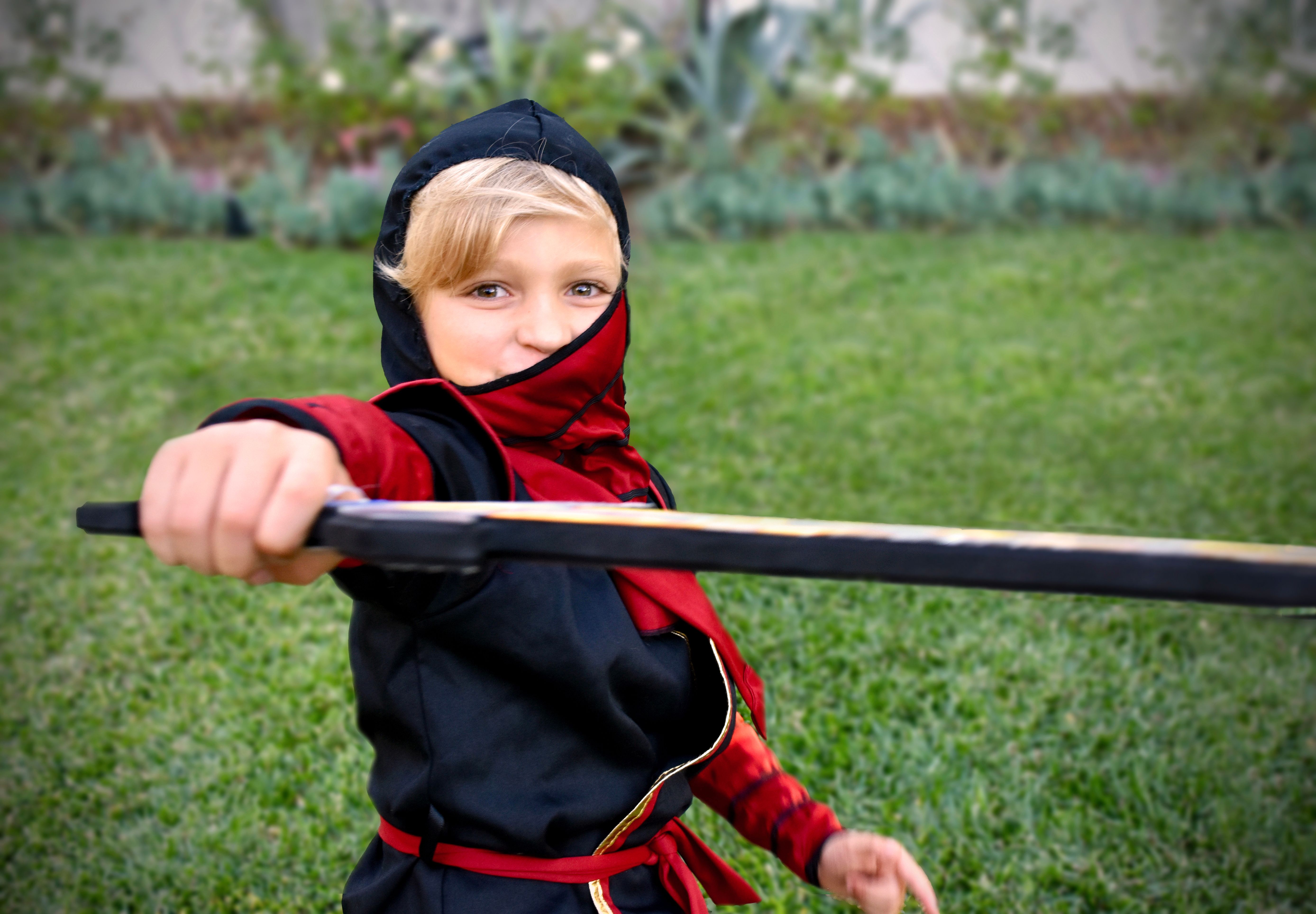 imagen de galeria de 5 elementos